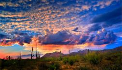 tucson-arizona